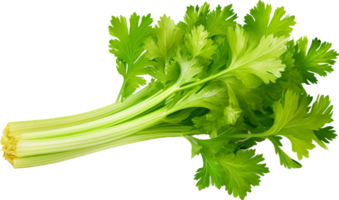 Celery png with AI generated.