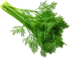 Dill png with AI generated.