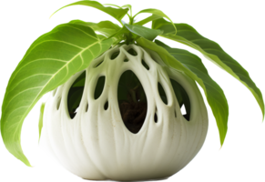 plante pot png avec ai généré.