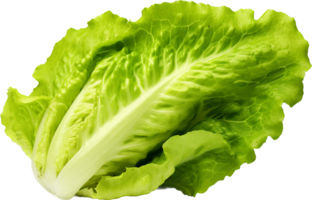 Lettuce png with AI generated.