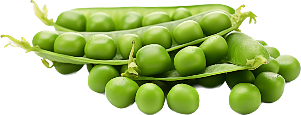 Green Peas PNGs for Free Download