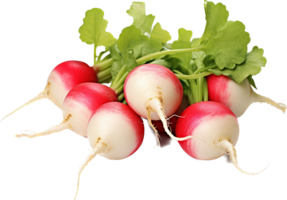 Radish png with AI generated.