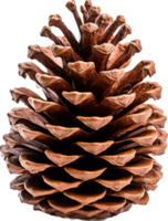 Pinecone png with AI generated.