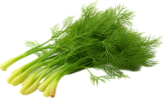 Dill png with AI generated.