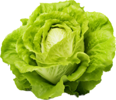 Lettuce png with AI generated.