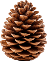 Pinecone png with AI generated.