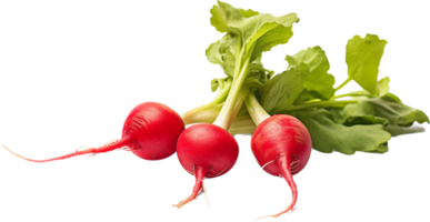 Radish png with AI generated.