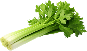 Celery png with AI generated.