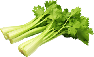 Celery png with AI generated.