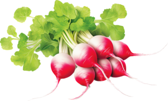 Radish png with AI generated.