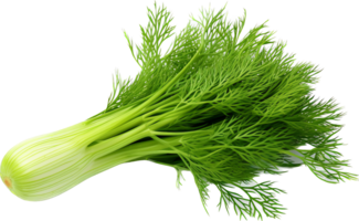 Dill png with AI generated.