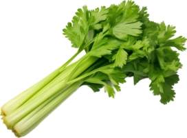 Celery png with AI generated.