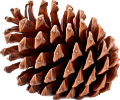 Pinecone png with AI generated.