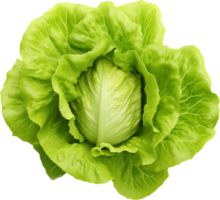 Lettuce png with AI generated.