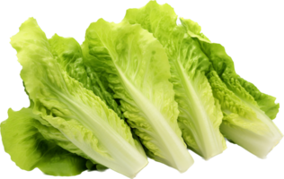 Lettuce png with AI generated.