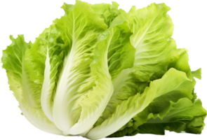 Lettuce png with AI generated.