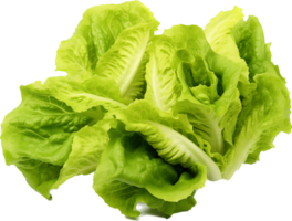 Lettuce png with AI generated.