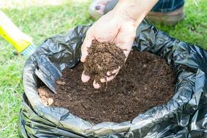 Hand holding peat moss organic matter improve soil for agriculture organic plant growing, ecology concept. photo