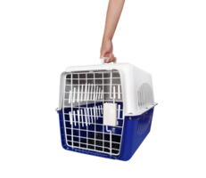 Hand holding a travel box for animals PNG transparent