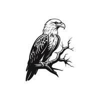 salvaje vida águila vector ilustración vector logo diseño