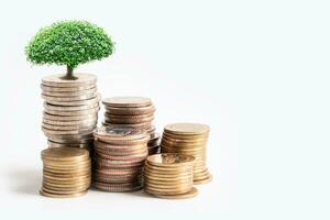 Tree plumule leaf on save money stack coins, Business finance saving banking investment concept. photo