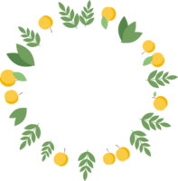 Round frame of apricots and green leaves in flat png