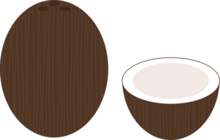 maturo Noce di cocco icona png