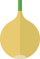 Onion flat icon png