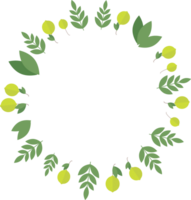 rond Cadre de citron vert des fruits et vert feuilles dans plat png