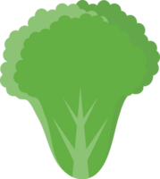 Flat green leaves lettuce icon png