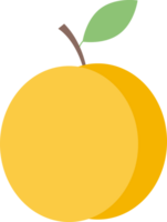 Flat peach icon png