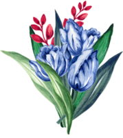 tulipanes flor acuarela ilustración guirnalda ramo de flores para tarjeta, producto diseño, festivo saludos png