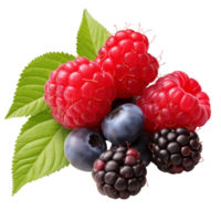 Blackberry raspberry and blueberry Ai Generative png