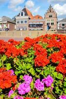 red flowers in front of a building with blue sky and clouds photo