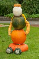 Pumpkins in the garden photo