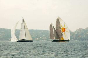 sailboats in the water photo