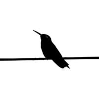 Perched Hummingbird Silhouette, can use Art Illustration, Website, Logo Gram, Pictogram or Graphic Design Element. Vector Illustration