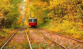 Autumn forest through which an old tram rides Ukraine photo