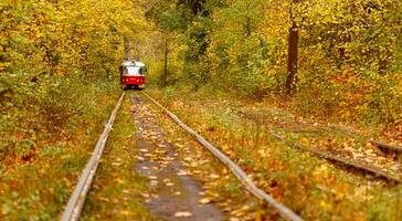 Autumn forest through which an old tram rides Ukraine photo