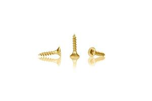 macro screw of golden color on a white background photo