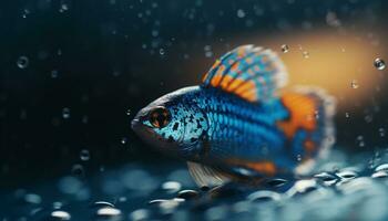 Colorful tropical fish swimming in a beautiful underwater blue paradise generated by AI photo