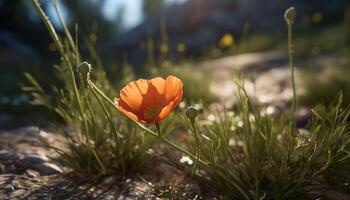 Beautiful meadow of wildflowers in vibrant colors under the summer sun generated by AI photo