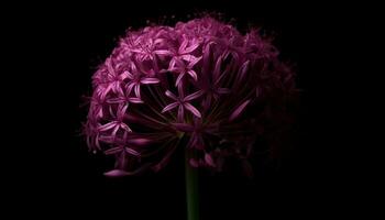 un hermosa púrpura flor flores en el oscuro, antecedentes generado por ai foto