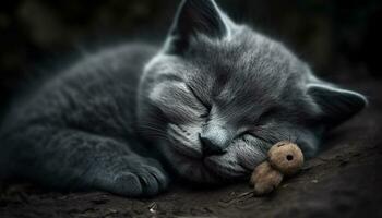 linda gatito durmiendo, mullido pelo, blandura, bigote, juguetón ojos cerrado generado por ai foto
