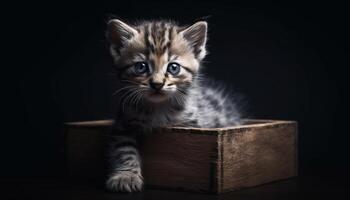 Cute kitten with striped fur, sitting and staring with curiosity generated by AI photo