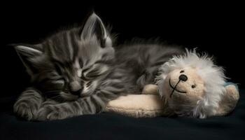 Cute kitten, small and fluffy, sleeping peacefully on black background generated by AI photo