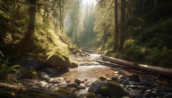 Tranquil scene of a wet forest with flowing water and green leaves generated by AI photo