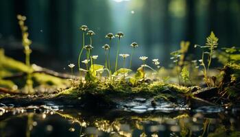 A beautiful flower blossoms in the green meadow under the sun generated by AI photo