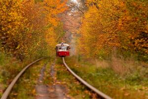 autumn forest among which goes a strange tram photo