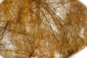 Macro mineral quartz hairy stone, quartz with rutile on a white background photo